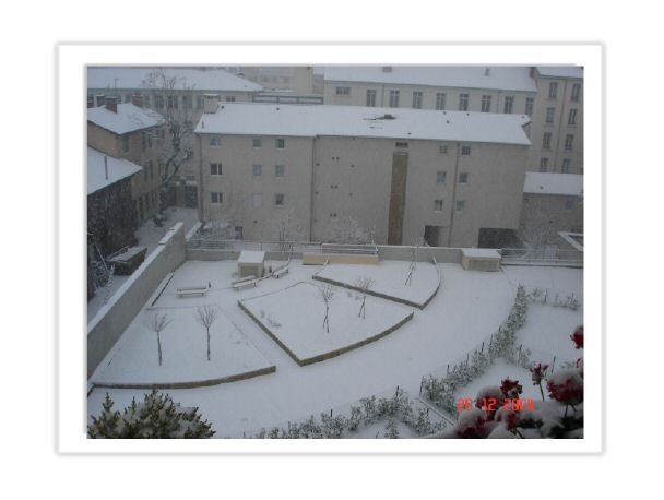 12_jardin_hiver.jpg